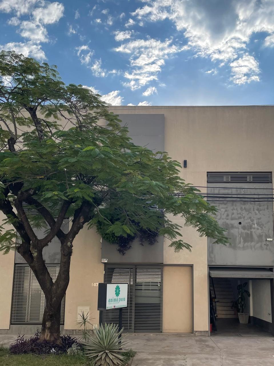Fachada de ANIMA PURA en Hipólito Yrigoyen 1475, Resistencia, Chaco